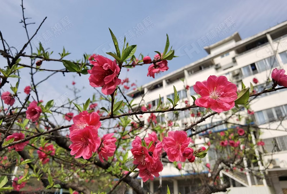 鴻程礦山磨粉機(jī)