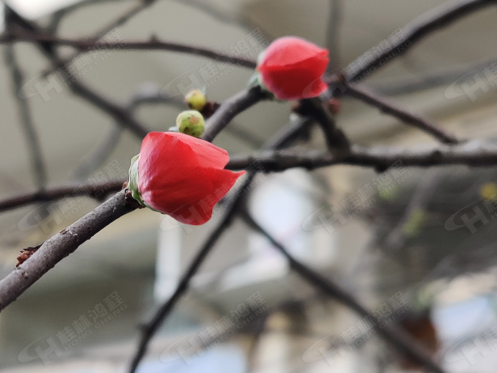 桂林鴻程花團(tuán)錦簇，滿園春色，邀您一起共賞春景，共商大計(jì)！